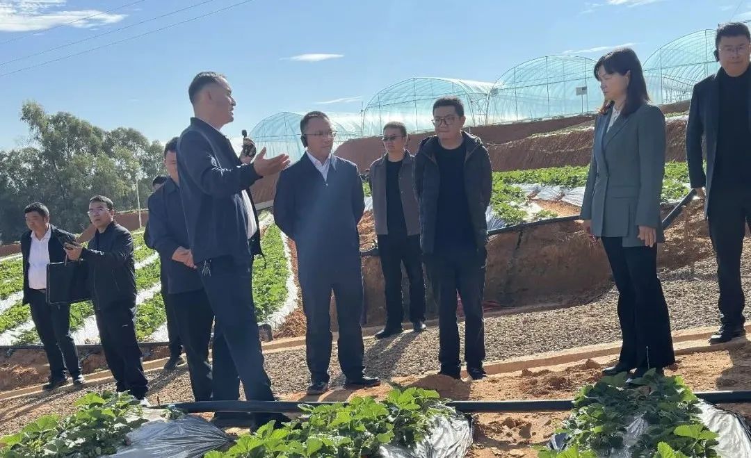 楚雄州重点产业技术研究院召开产业创新发展及肉牛产业技术培训工作会议