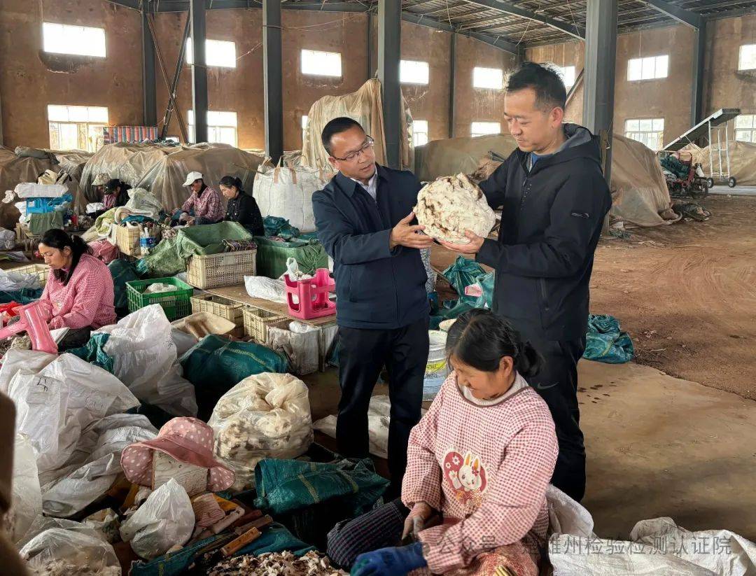 楚雄州重点产业技术研究院到双柏县开展中药材产业协作发展专题调研