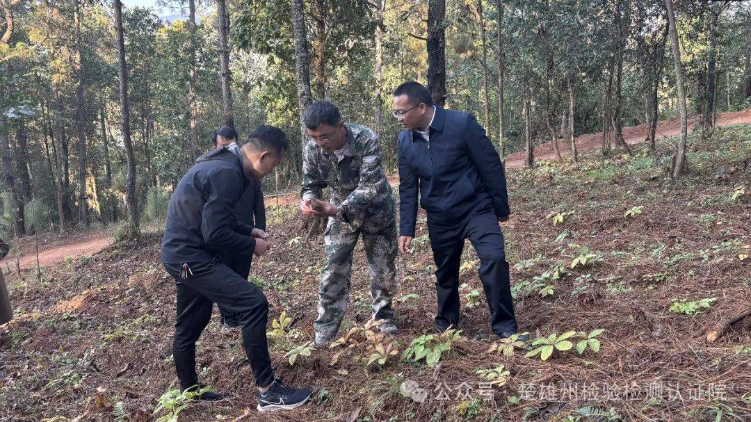 楚雄州重点产业技术研究院到双柏县开展中药材产业协作发展专题调研